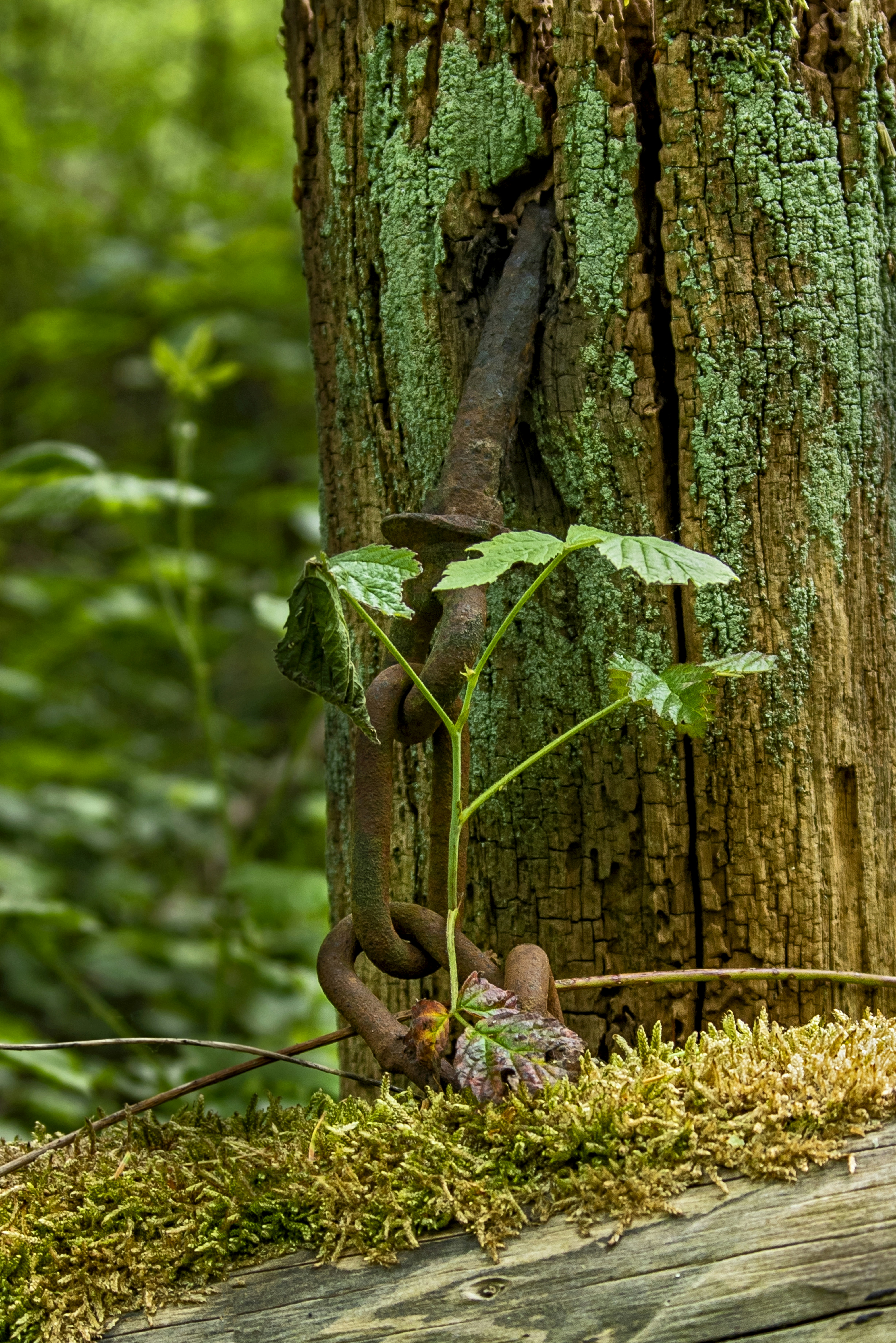 Photo by switch_dtp_fotografie