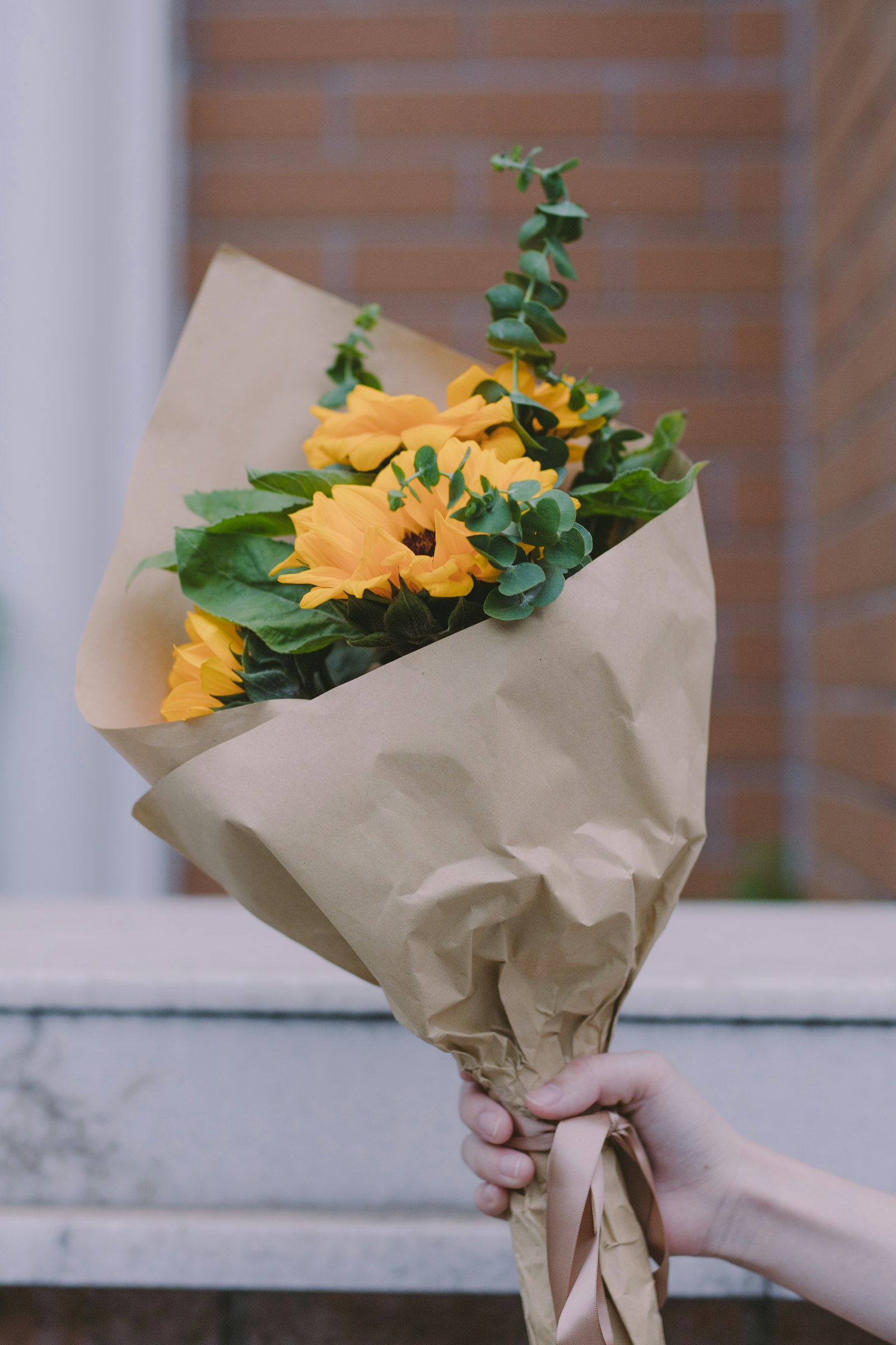 Canon EOS 6D Mark II + Sigma 50mm F1.4 DG HSM Art sample photo. Yellow and white flower photography