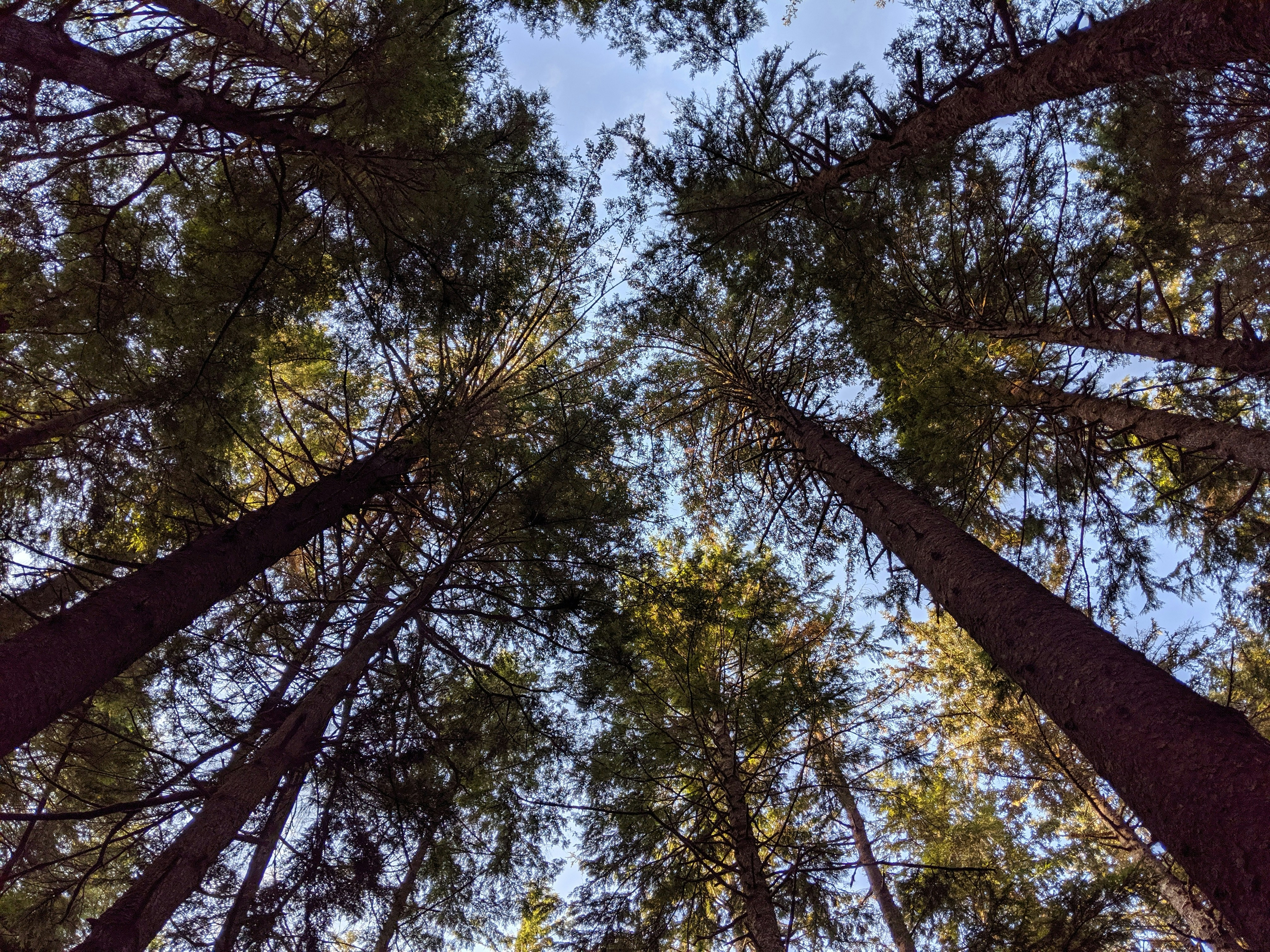 Photo by shadley1031