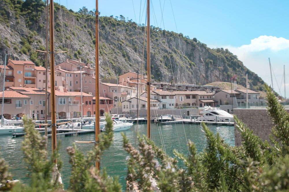 white and brown boat on body of water near brown concrete building during daytime