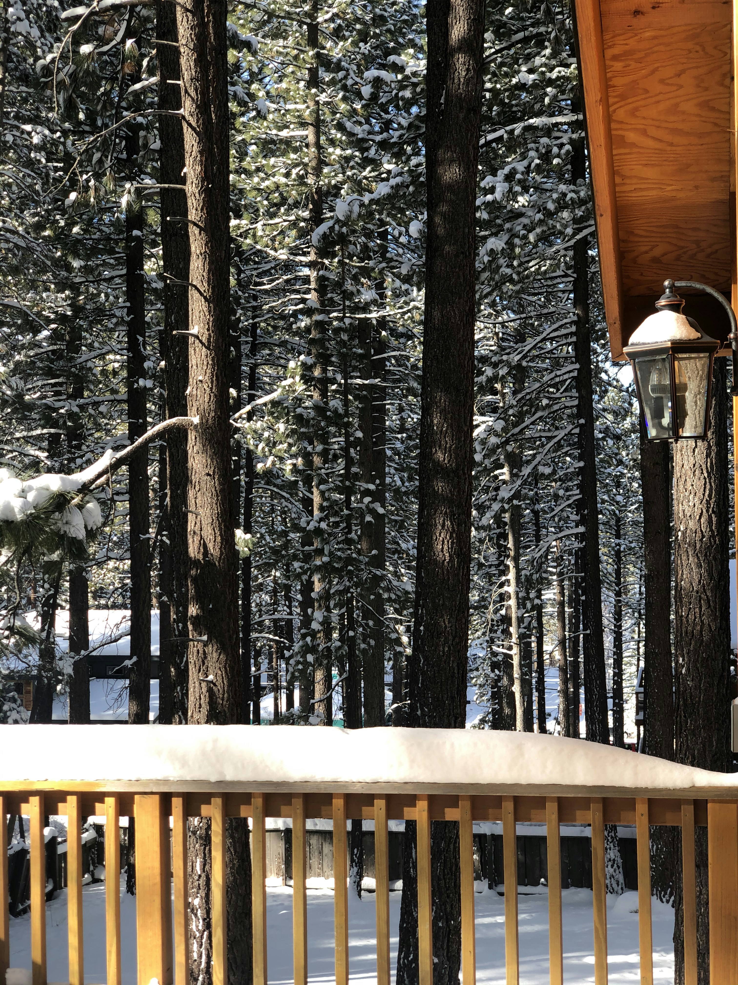 Photo by mariadoloresvazquez