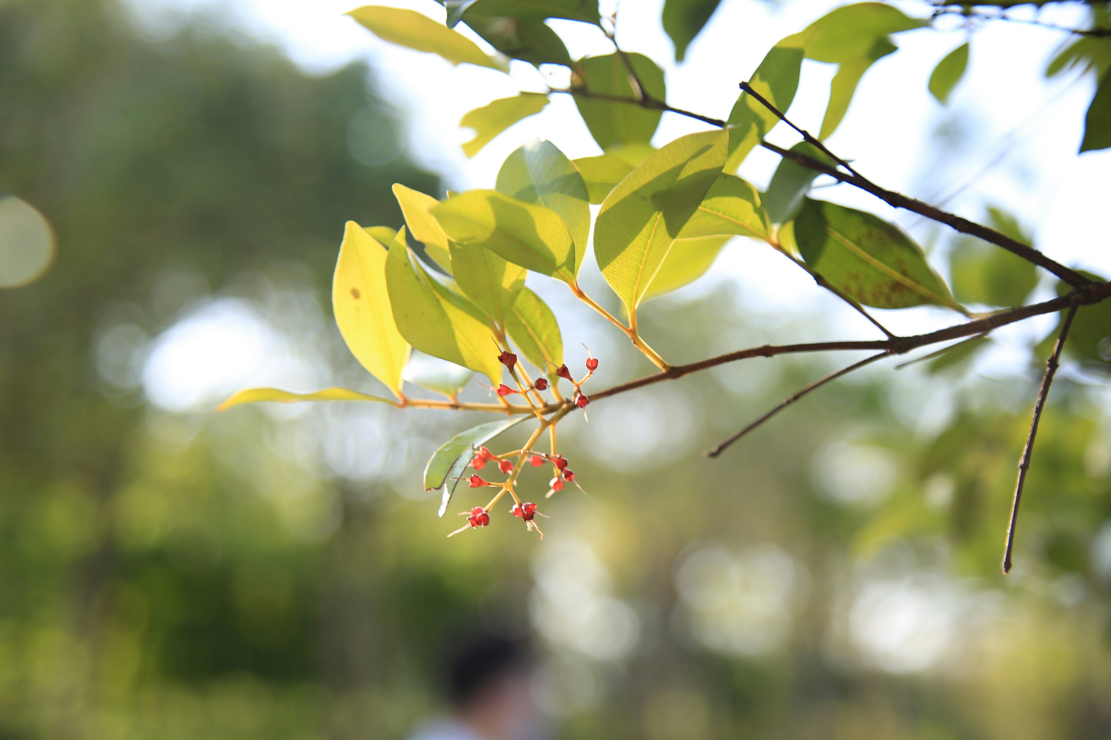 Photo by artanarchist