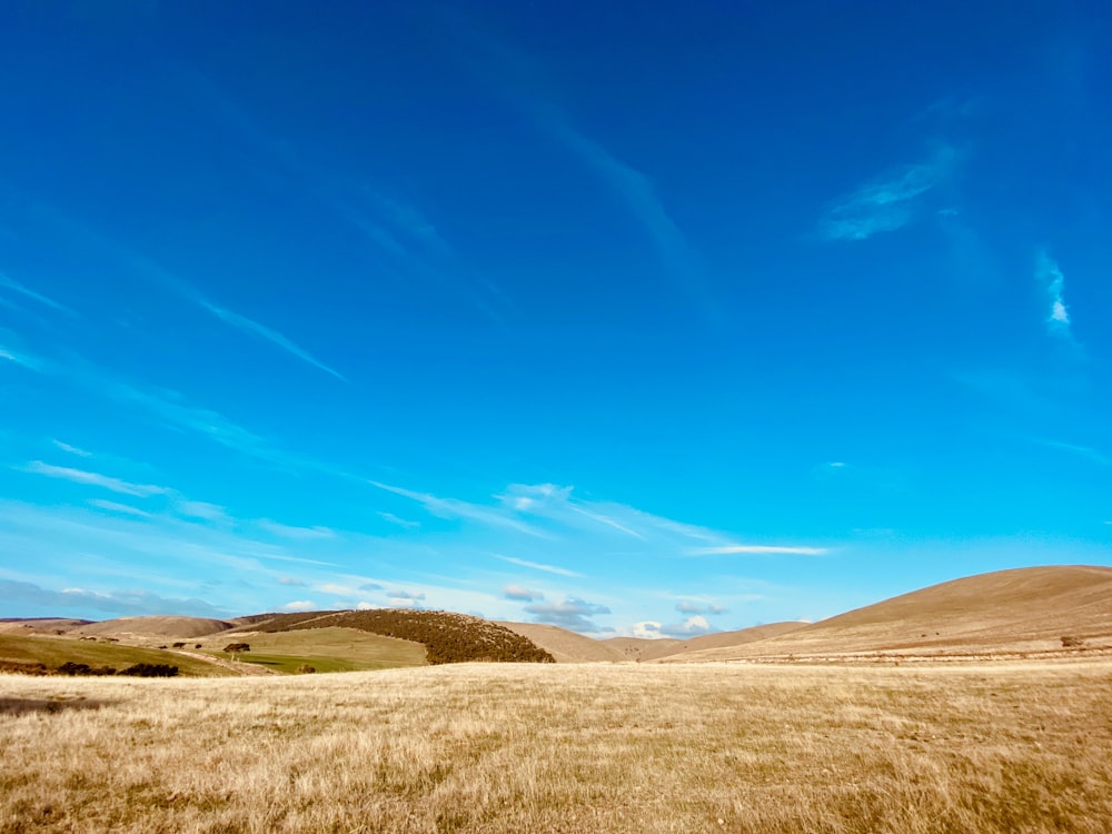 campo di erba marrone sotto il cielo blu durante il giorno