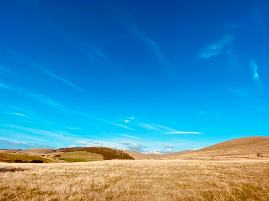 brown grass field under blue sky during daytime in Sellicks Hill SA Australia