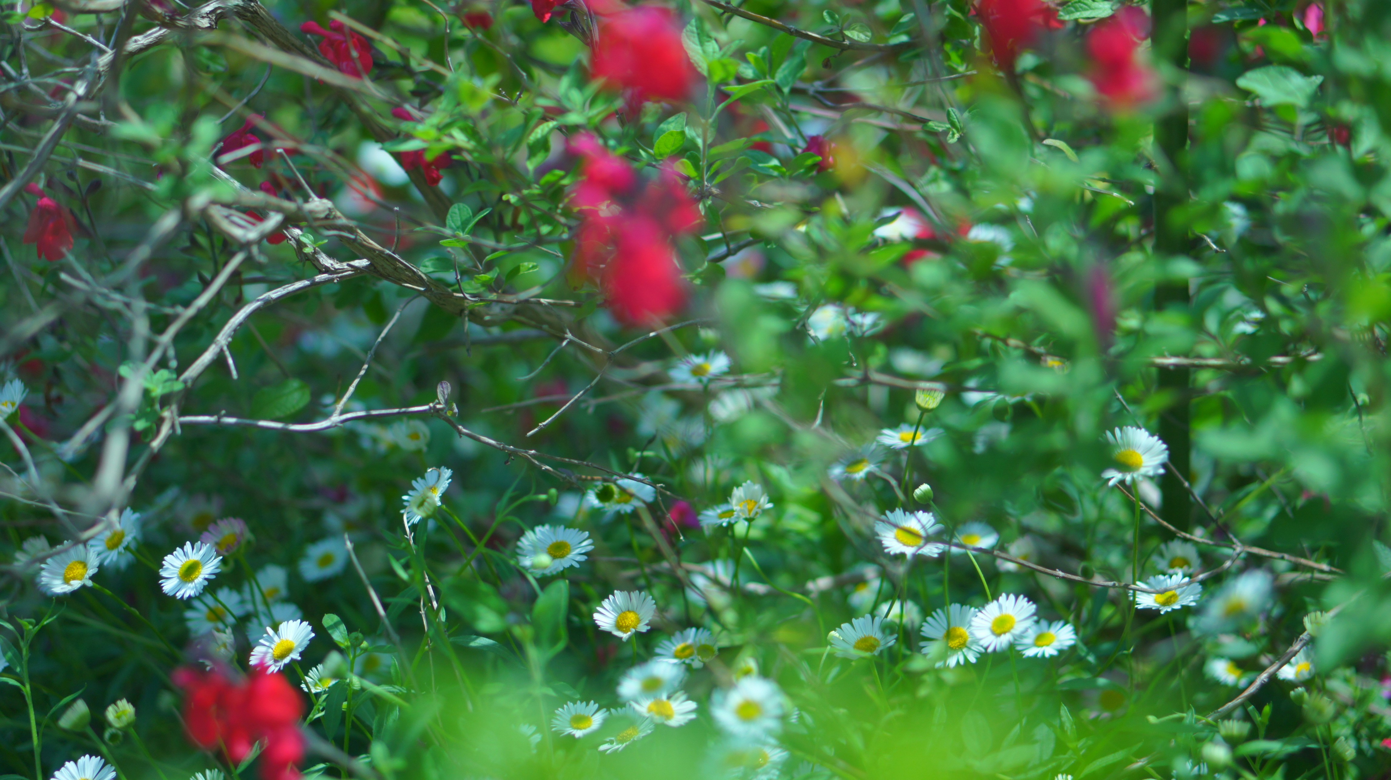 Photo by kiyomishiomura