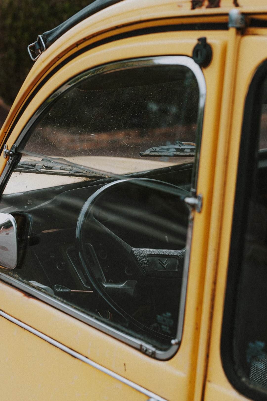 black and brown car door