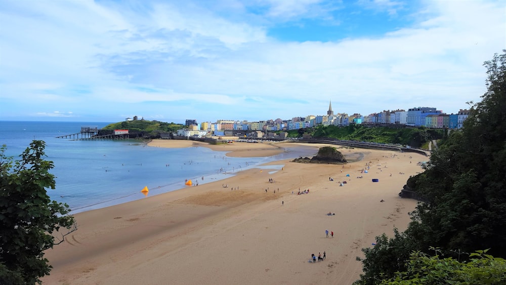 people on beach during daytime