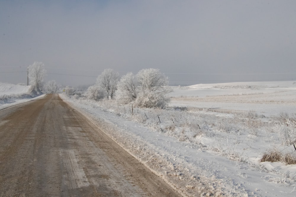 brown dirt road between snow covered field during daytime