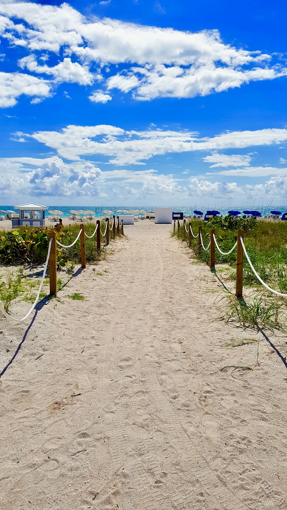 guarda-sóis verdes e azuis na praia durante o dia