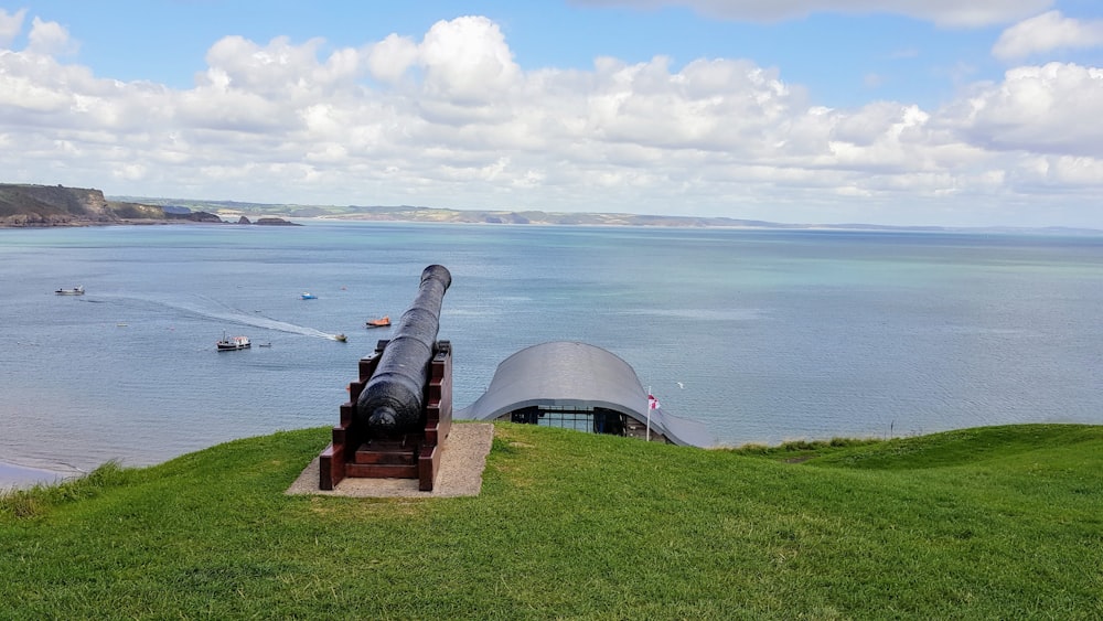 black and gray canon on green grass field near body of water during daytime