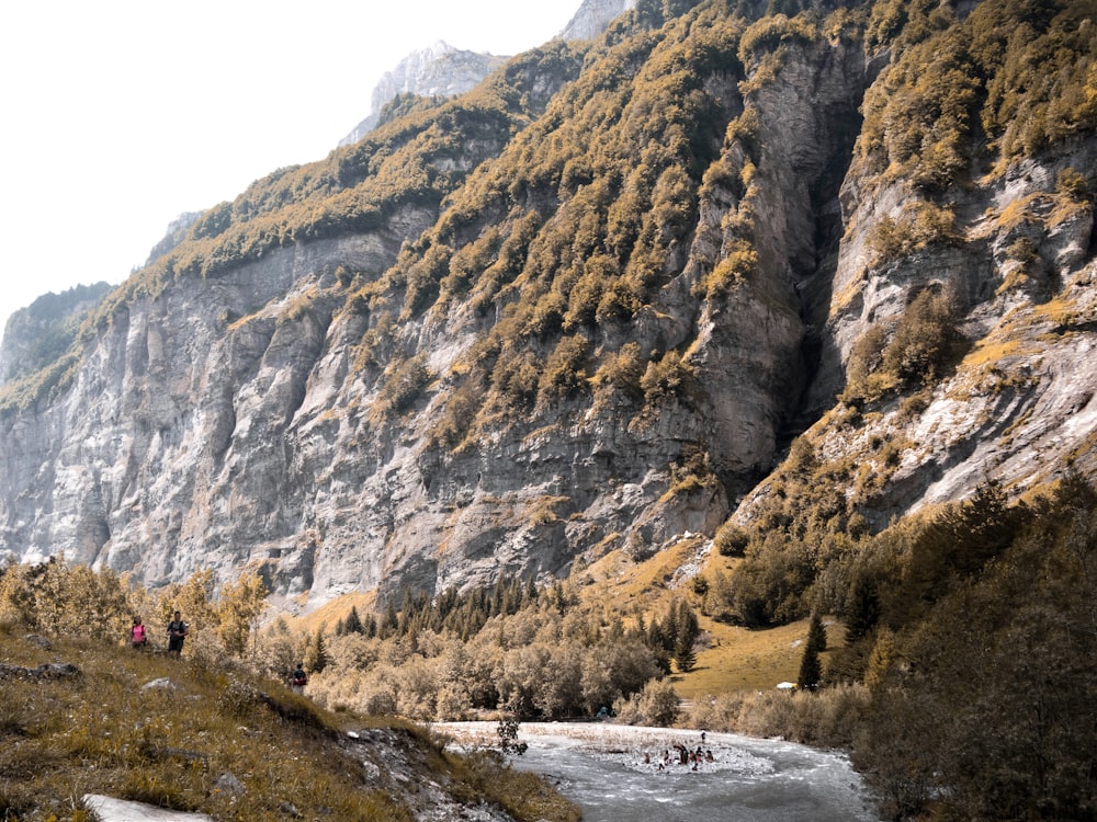 green trees on brown rocky mountain during daytime