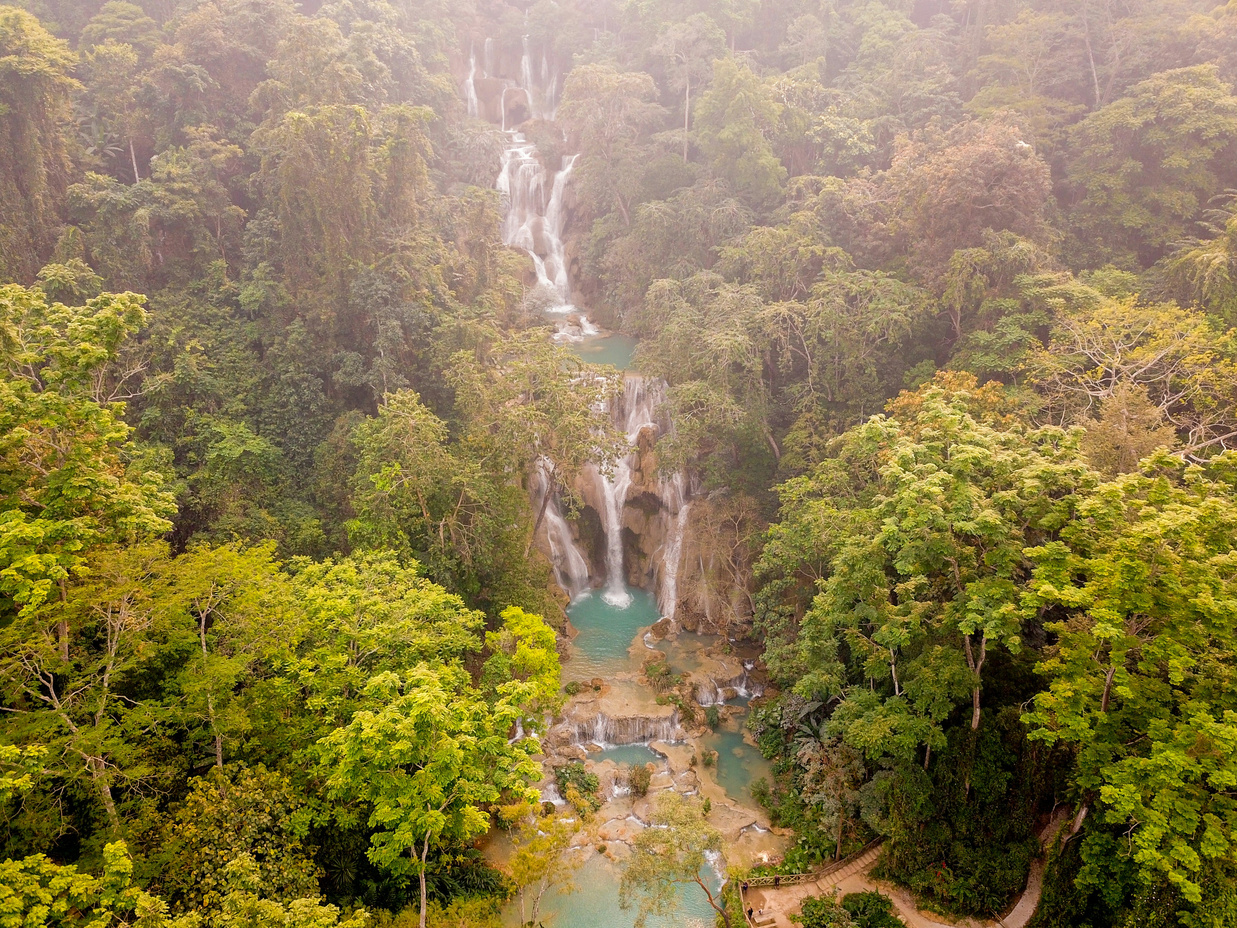 green trees and river during daytime