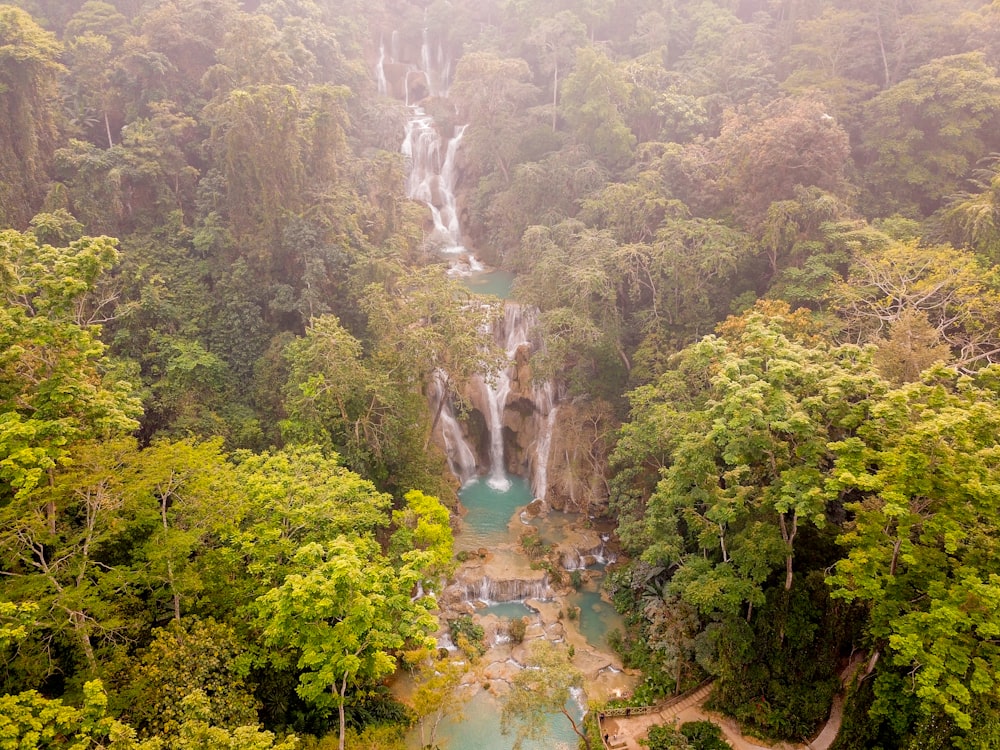 árboles verdes y río durante el día