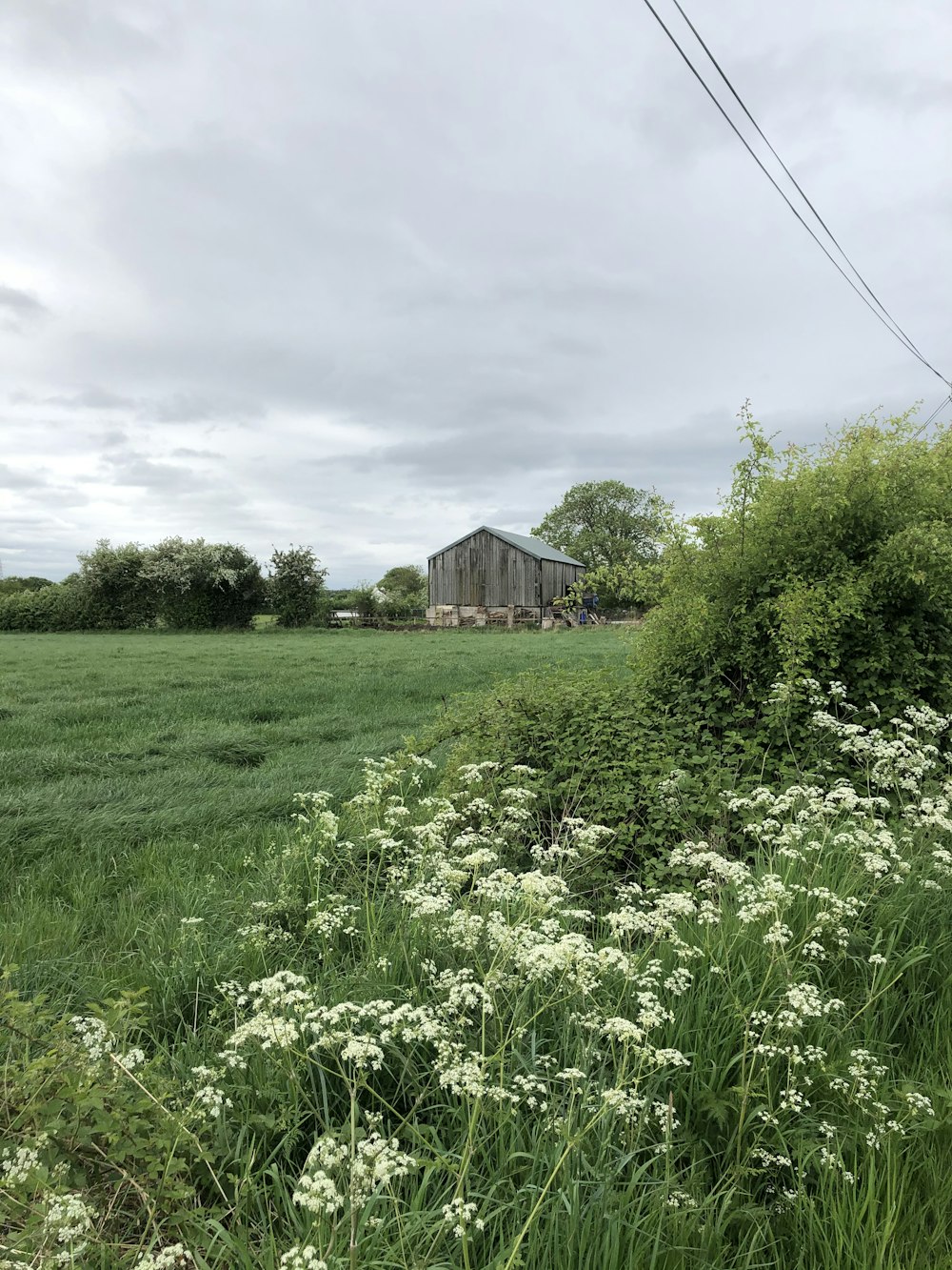 green grass field near brown wooden house under white clouds during daytime