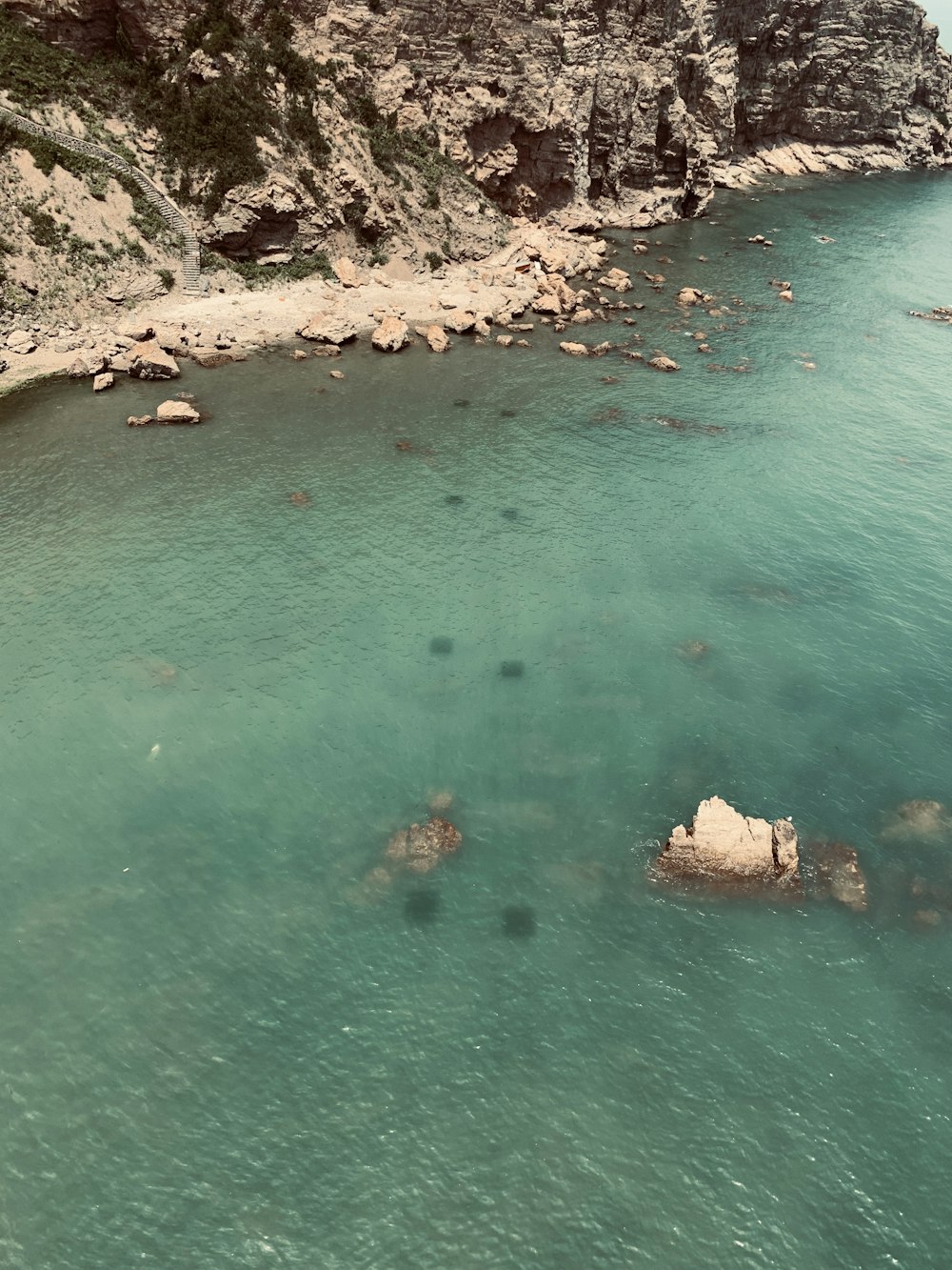 people swimming on beach during daytime