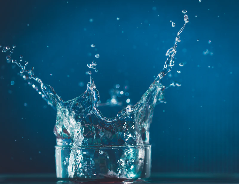 Fonction rénale : créatinine, DFG et analyses urinaires