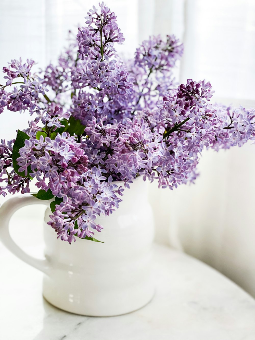 purple flowers in white ceramic vase