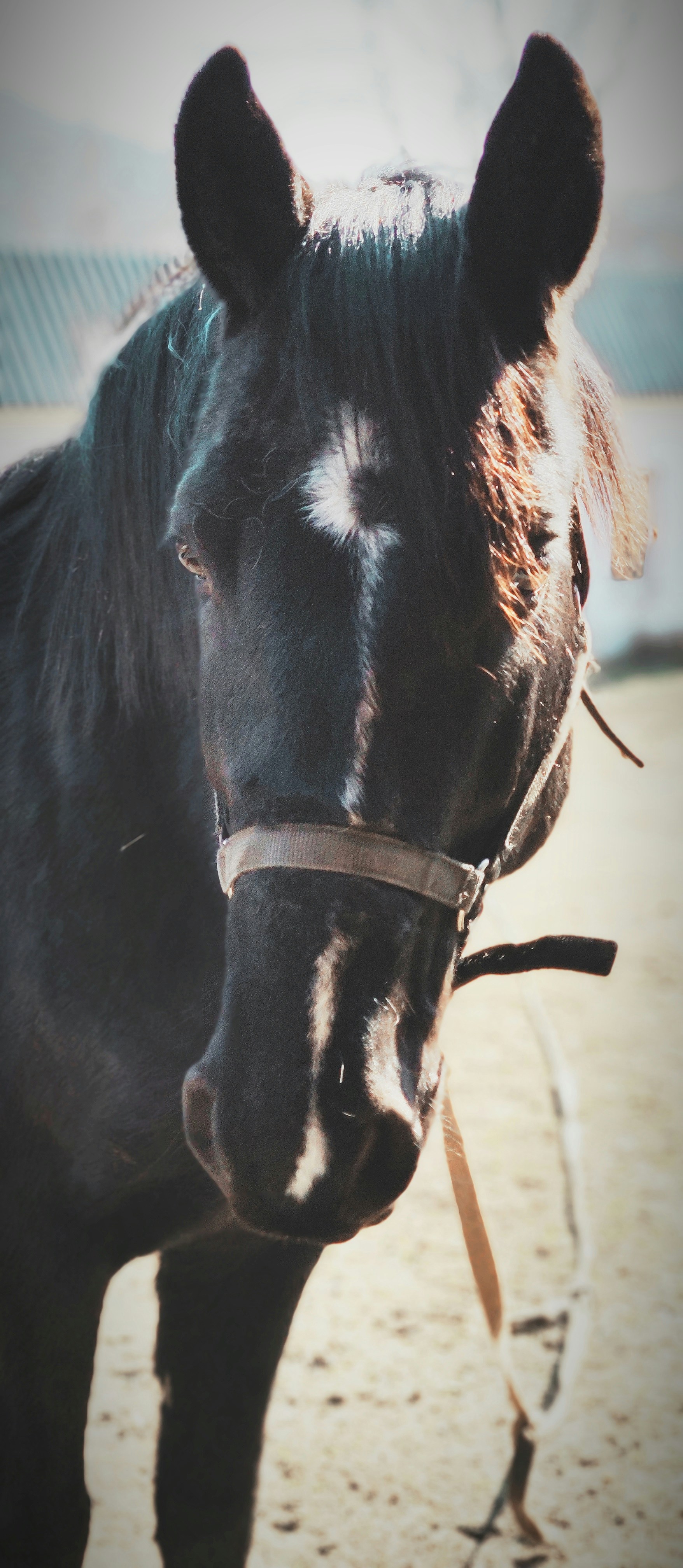 Photo by max_abramov