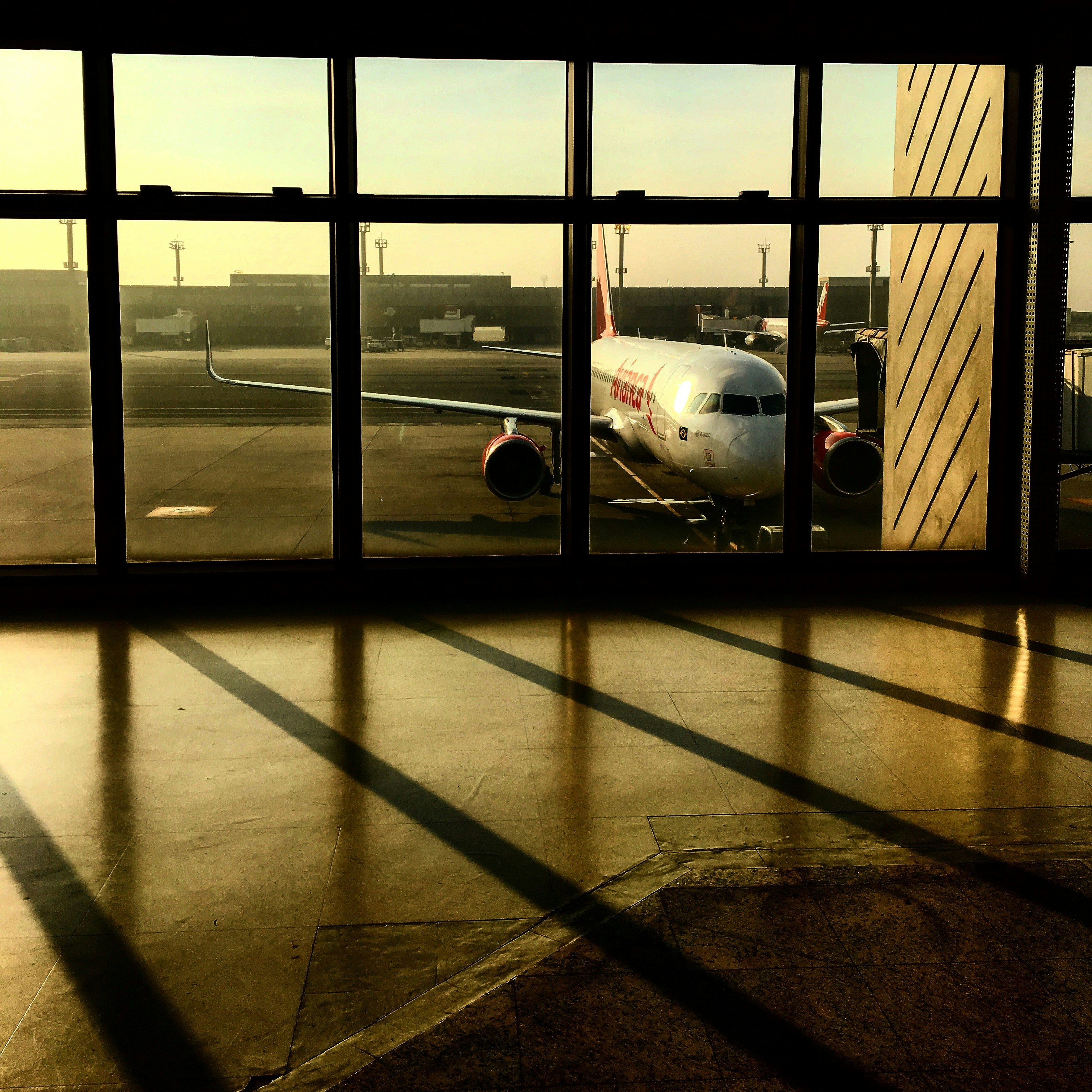 Photo by joaogabriel
