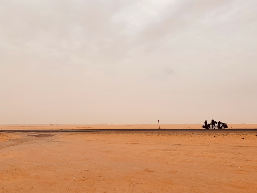 people on beach during daytime