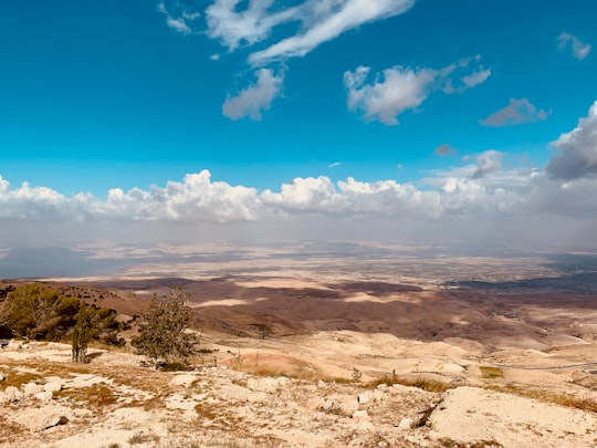 green trees on brown field under blue sky during daytime in Faisaliah Sub-District Jordan