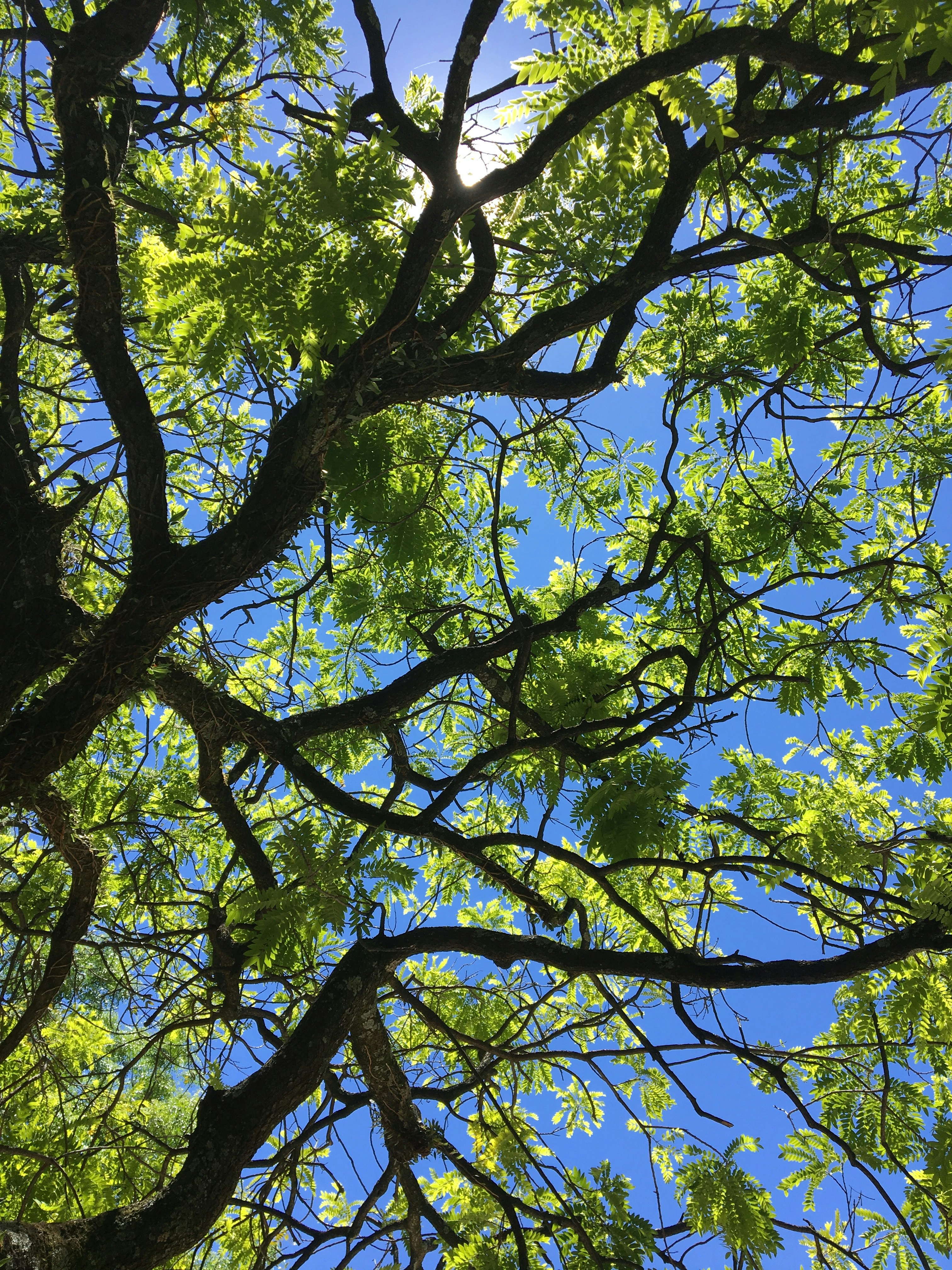 Photo by joaogabriel