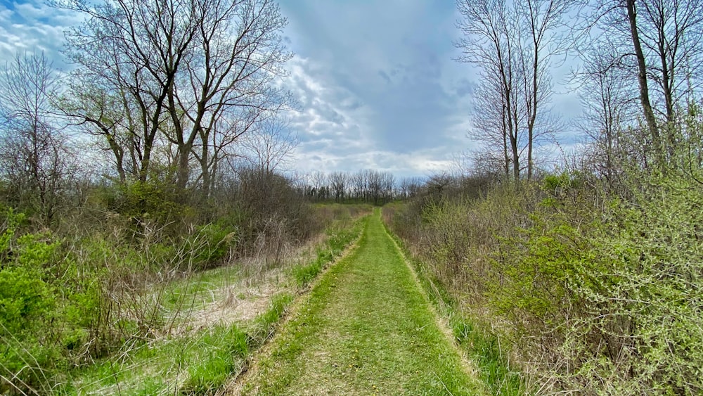 green grass field under blue sky during daytime