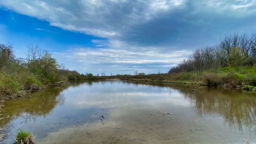 hierba verde y árboles al lado del río bajo el cielo azul durante el día