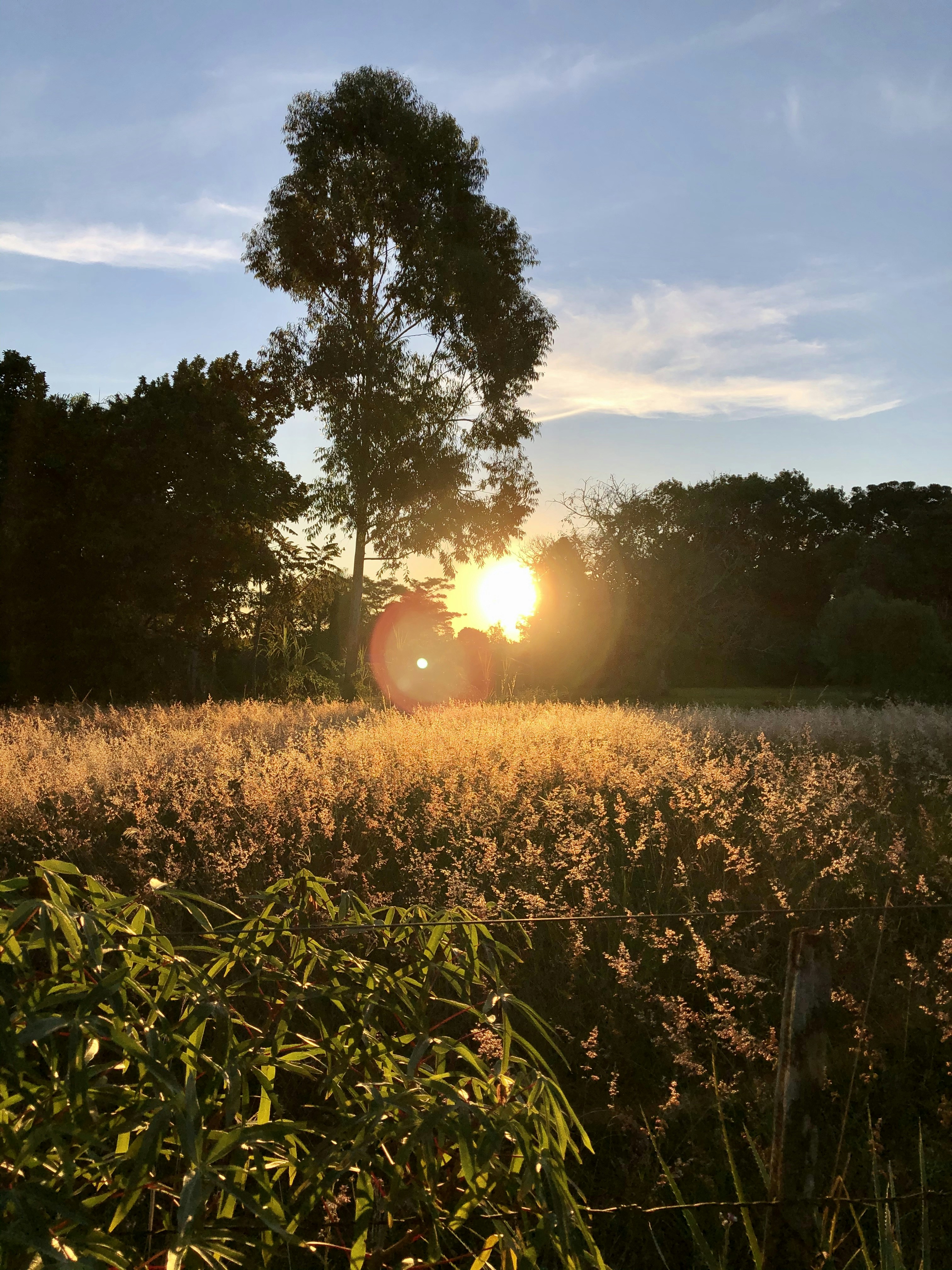 Photo by phlifestyle