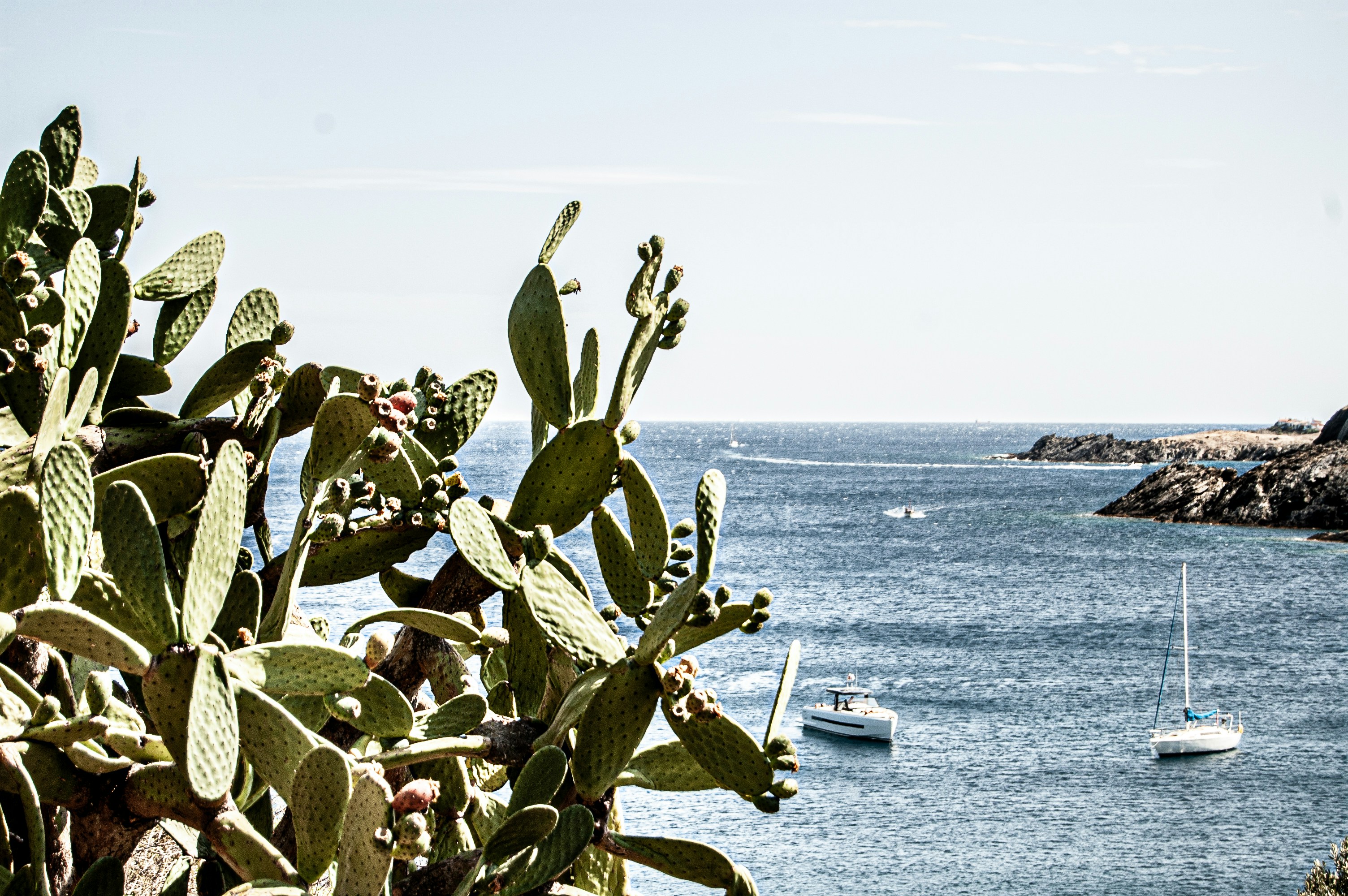 Photo by ferranfeixas
