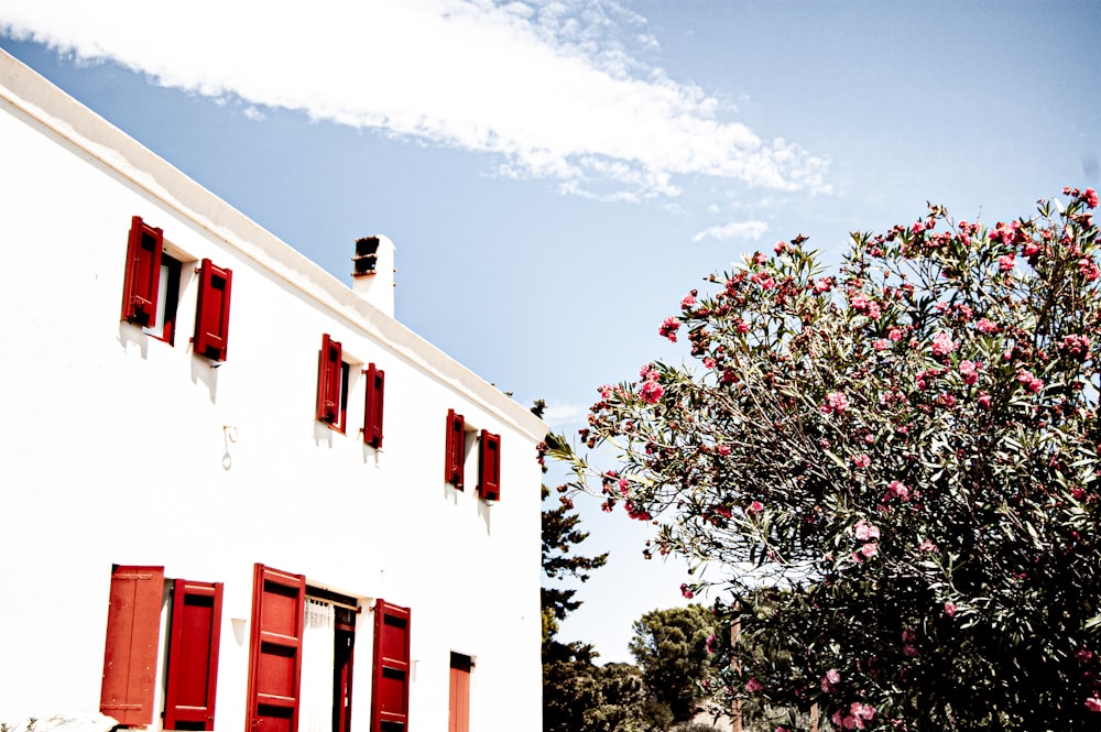 white and red concrete building