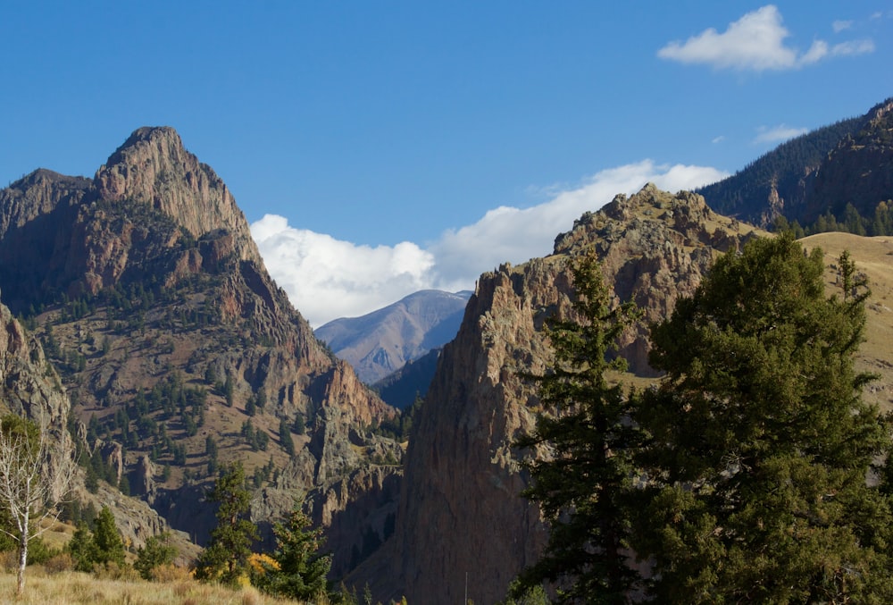 green trees on mountain under blue sky during daytime