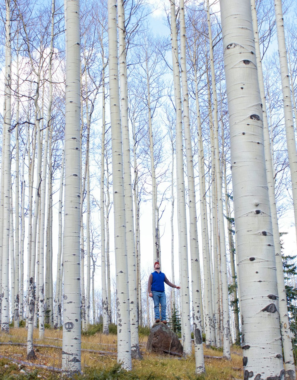 man in blue jacket standing on white metal pipe