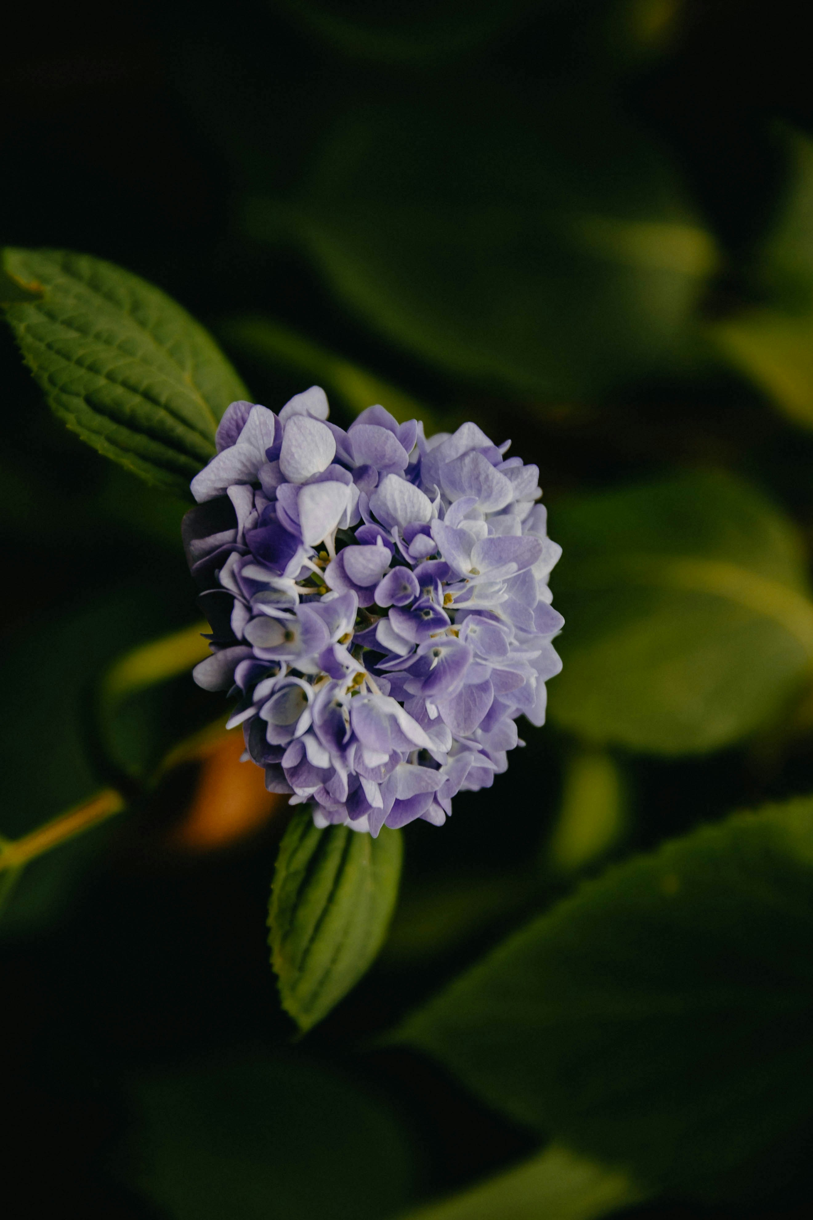 Photo by anna_safronova