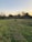 A dog is walking in a large, grassy backyard. The yard is enclosed by a wooden fence. The sky is clear with a hint of sunset, casting a warm light over the scene. There are some bare trees and a couple of evergreen shrubs beyond the fence, and a few rooftops are visible in the background.