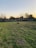 A dog is walking in a large, grassy backyard. The yard is enclosed by a wooden fence. The sky is clear with a hint of sunset, casting a warm light over the scene. There are some bare trees and a couple of evergreen shrubs beyond the fence, and a few rooftops are visible in the background.