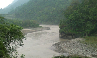 A serene river winding through a lush green valley with diverse plant life along its banks.