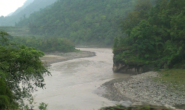 A serene river winding through a lush green valley with diverse plant life along its banks.