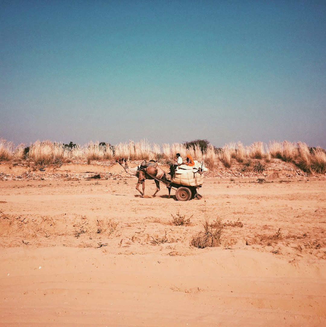 Desert photo spot Beechha India