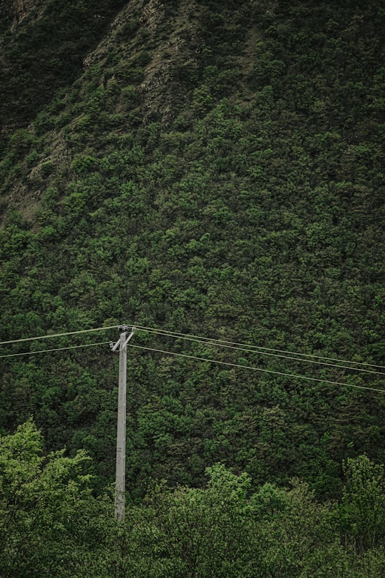 white electric post on green grass field in Tehran Province Iran