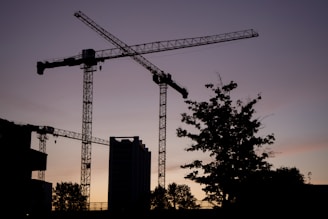 silhouette of trees and tower crane during daytime