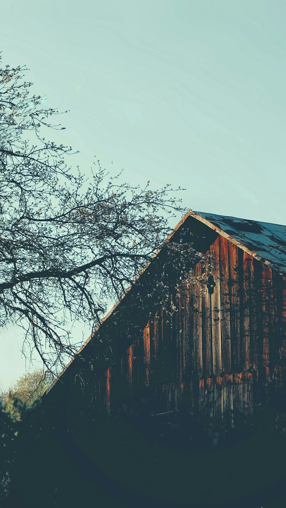 brown wooden house near bare tree during daytime