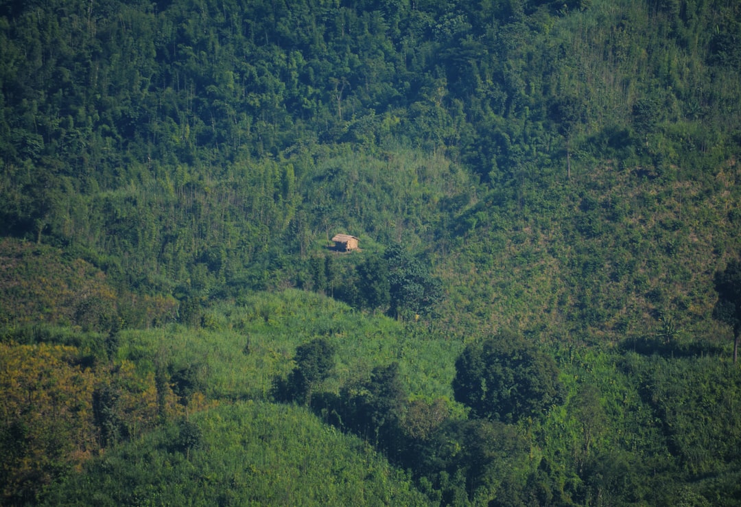 travelers stories about Temperate broadleaf and mixed forest in Sajek, Bangladesh