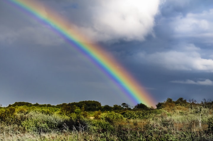 Exploring the Enchanting Phenomenon of Rainbows