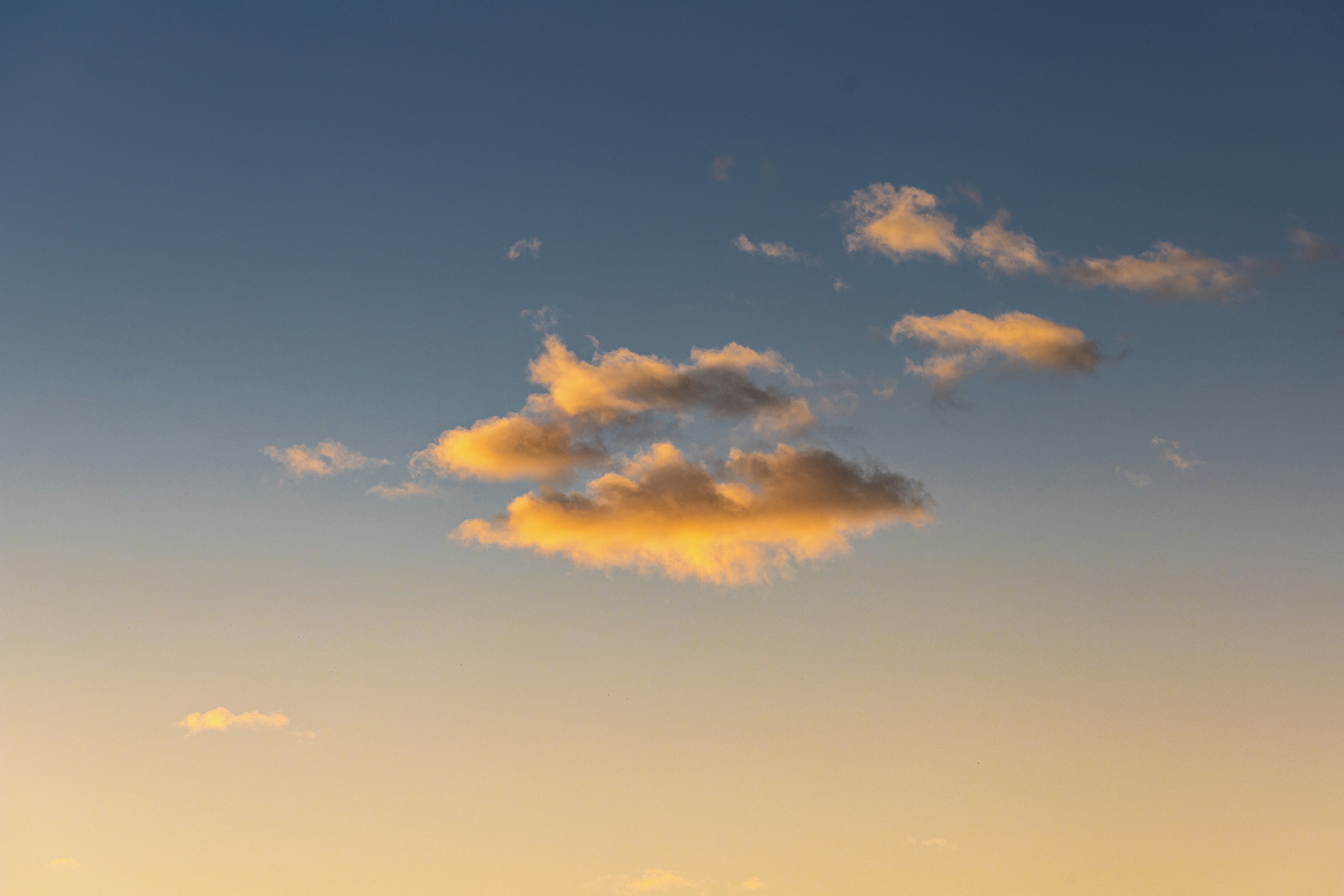 Photo by isaacquesada