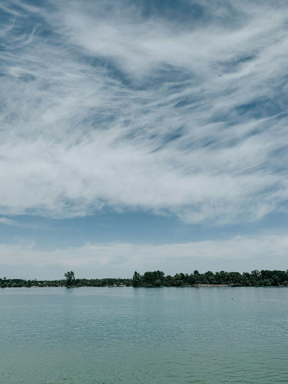 green trees near body of water under cloudy sky during daytime