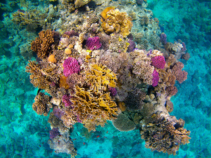 Sharm El Sheikh — Sinai mountains meet world-class diving