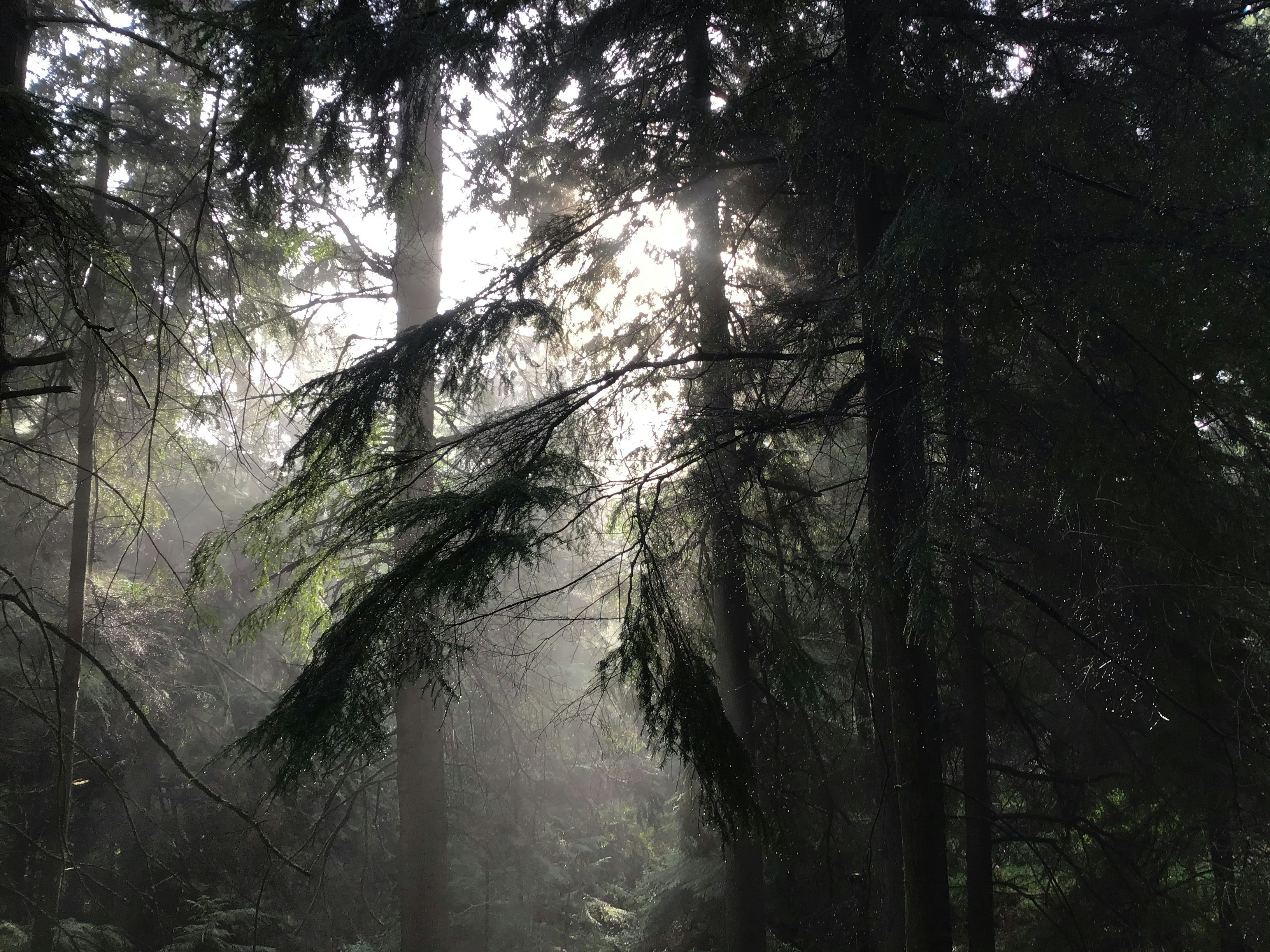 Photo by geoffshilling