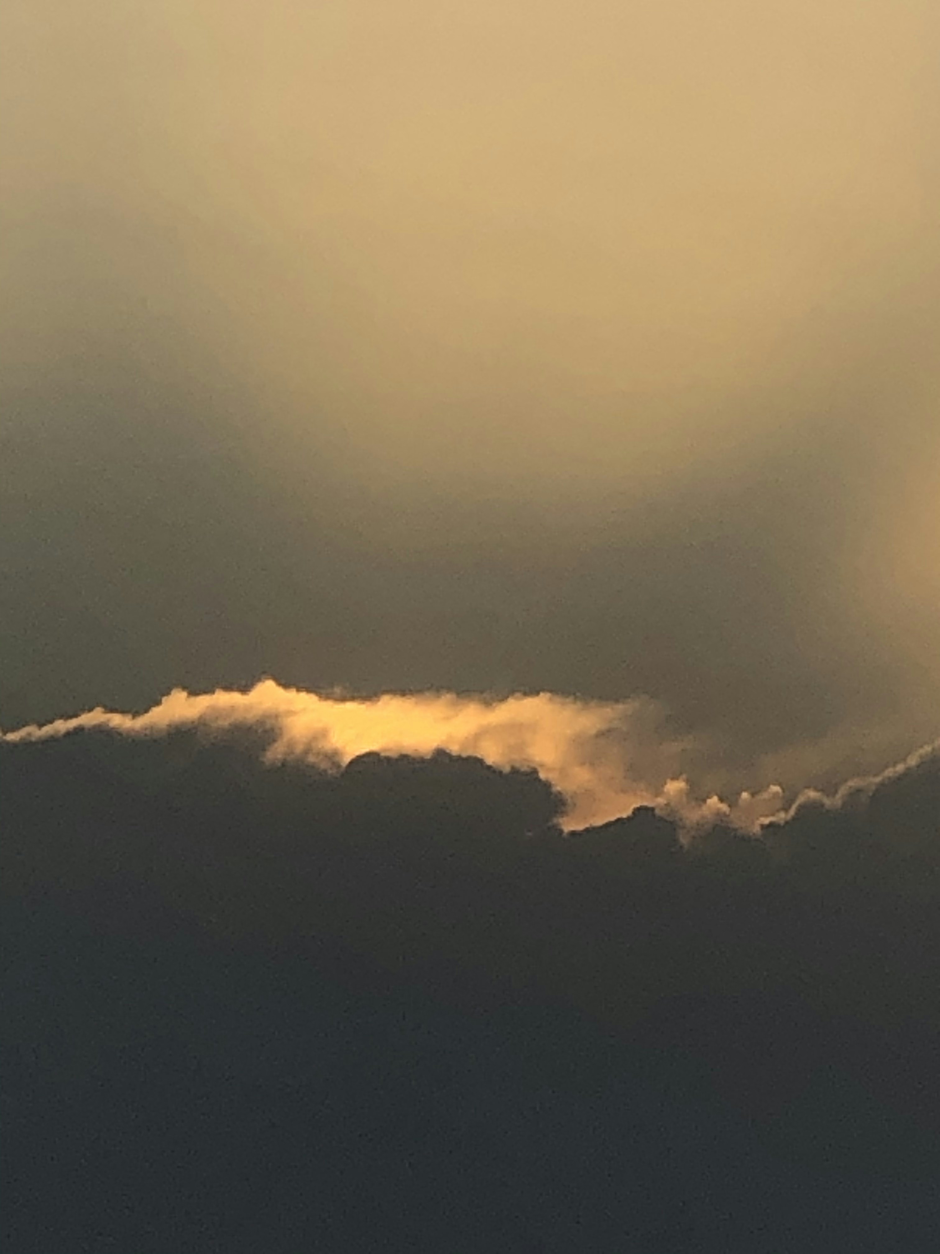 Photo by vertinskaya