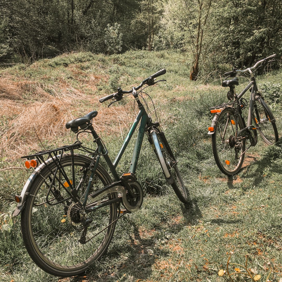 black and gray mountain bike on brown grass field